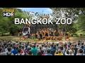 4K HDR Safari World Bangkok The Most AMAZING ZOO In The World Full Walking Tour 
