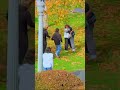 MASSIVE BS flip