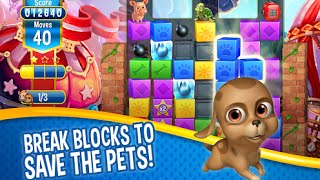 Pet Rescue Saga Android İos Free Puzzle Game GAMEPLAY VİDEO screenshot 5