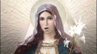 THE CYBORGS - I'm just a Cyborg and I don't believe in God [Official Video]