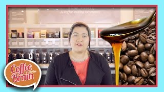 Honey Processed Coffee | Coffee On The Brain