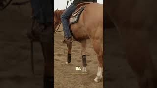 ¿Por qué las botas vaqueras tenían una rueda de metal?