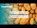 Agrosaw potato grading line with screen sizers