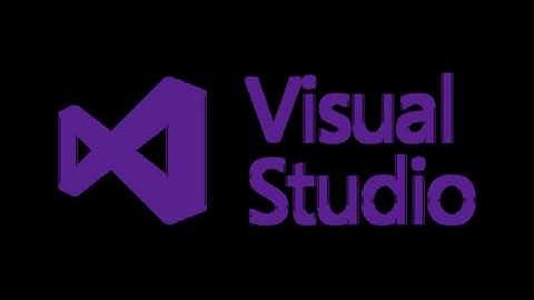 Visual studio : How to hide password for log in screen