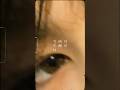 &TEAM First Howling：WE Album Preview '月が綺麗ですね'