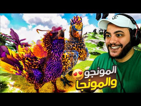 أقوى ثنائي جبابرة بروضهم بحياتي المونجو والمونجا    30