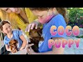 Picking up our 8 weeks old puppy(CoCo) / Yorkie puppy/ Vlog2020