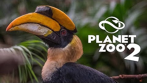 Aviary Species - Planet Zoo 2 Speculation