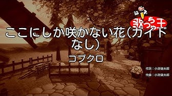 ここにしか咲かない花 Youtube ここにしか咲かない花 Youtube