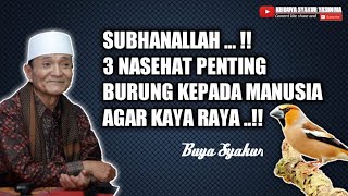 Terharu !! 3 Nasehat Penting Burung kepada Manusia || Buya Syakur Yasin Ma