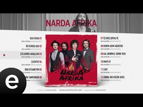 Çitlembik Ağaçları (Narda Afrika) Official Audio #çitlembikağaçları #nardaafrika