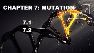 CHAPTER 7: MUTATION, 7.1 & 7.2