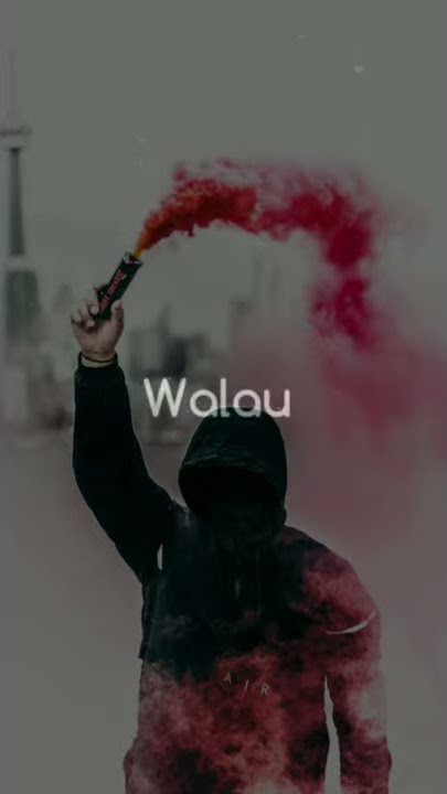 WALAU HABIS TERANG - COVER BY MEISITA LOMANIA ||  STORY WA 30 DETIK