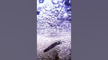 قراءه عطره تريح القلب من سورة إبراهيم بصوت القارئ هزاع البلوشي ❤❤