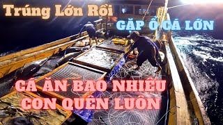 Gặp Ổ Cá Ngừ Siêu To Khổng Lồ | Linh 78