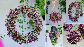 4 Amazing Inch Plant Hanging \& Wreath Ideas | Inch Plant Growing Ideas | Hanging Plants\/\/GREEN DECOR