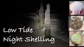 Looking for sea shells at night during low tide. Exploring the dark looking for beach treasures.