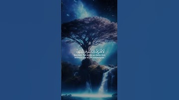 اواخر البقرة #سورة_البقرة #اكسبلور #المصحف #راحة_نفسية #حالات_واتس #duet #yasseraldossary #duet