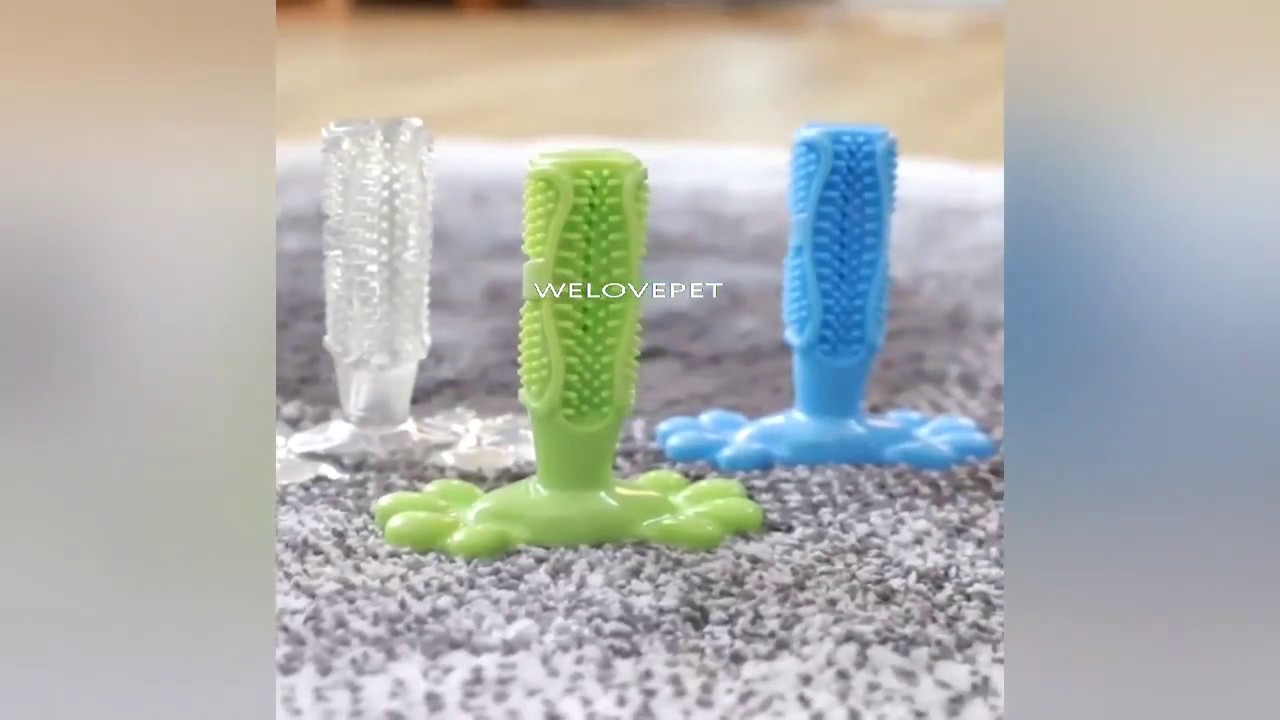 Natural pet silicone dog cleaning brush, pet bite supplier YouTube