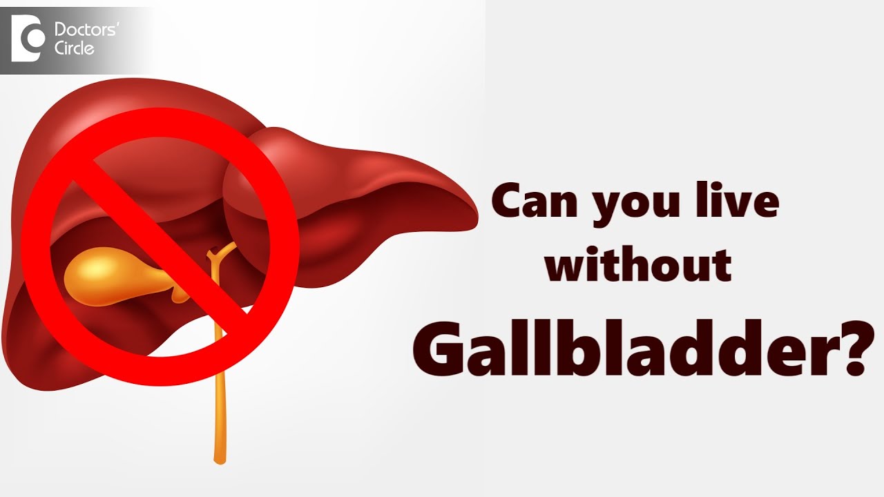 Can You Live Without Gallbladder? | Precautions  Safe Food Habits-Dr. Ravindra B S| Doctors' Circle