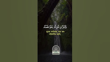 سورة محمد بصوت هادئ سورة محمد سورة محمد تلاوة جميلة