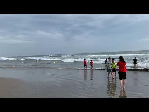 朝の海に喜ぶ面々