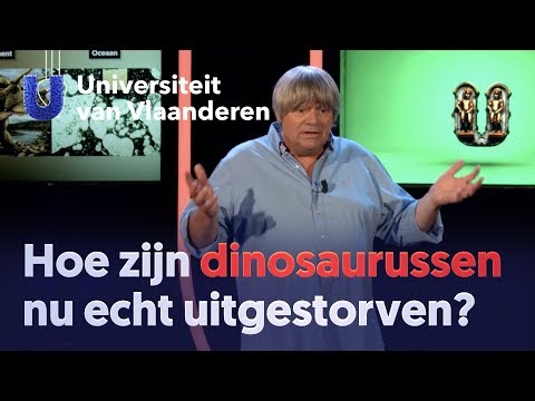 Hoe zijn dinosaurussen nu echt uitgestorven?