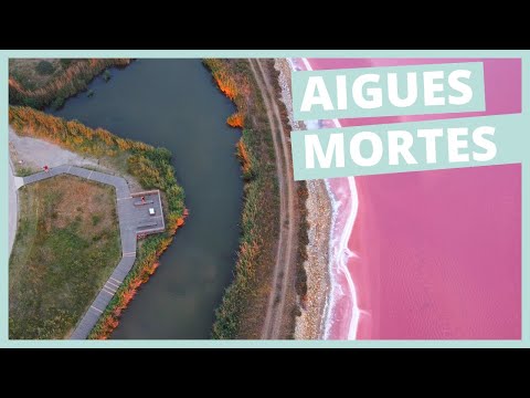 AIGUES-MORTES : REMPARTS | SALINS | FLAMANTS ROSES ?