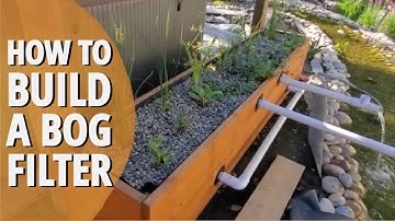 Algae vs Bog Filter (Timelapse) DIY Bog Filter For Pond