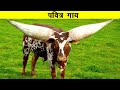 दुनिया के सबसे लम्बे सींगों वाले जानवर | Animals with The Biggest Horns in the World