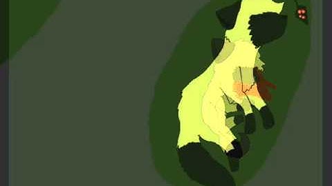 Hymn For The Missing AshpawXLionpaw