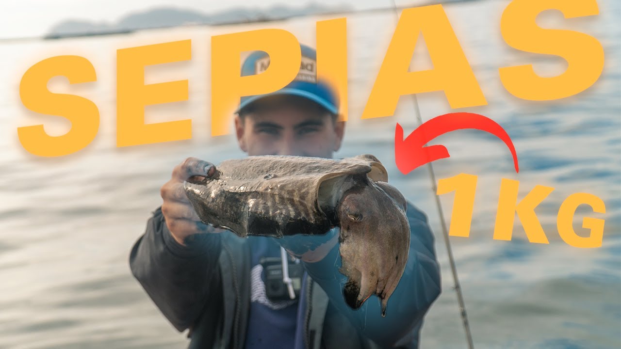 *EGING desde BARCO*  SEPIAS🦑 y pequeños PULPOS 🐙  y como pescarlos