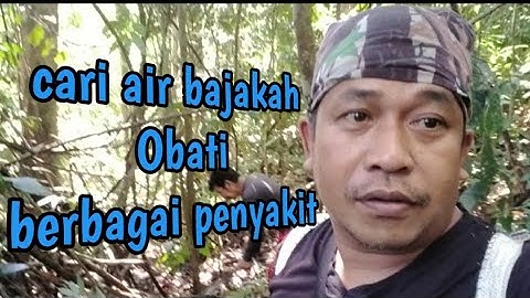 cari air bajakah