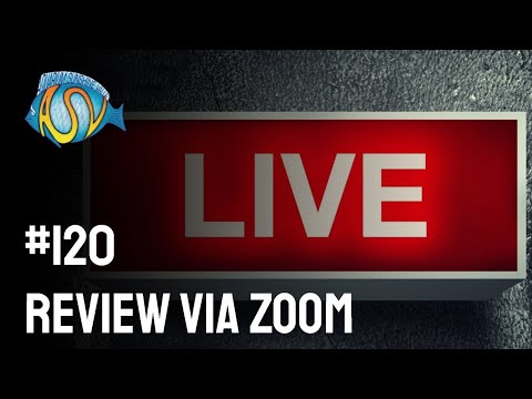 🔴 LIVE Aquarium Review (incl. ZOOM) | Aquarium Sunshine Valley