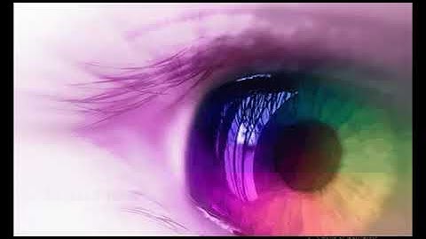 Layers and Filters in photoshop class 8th