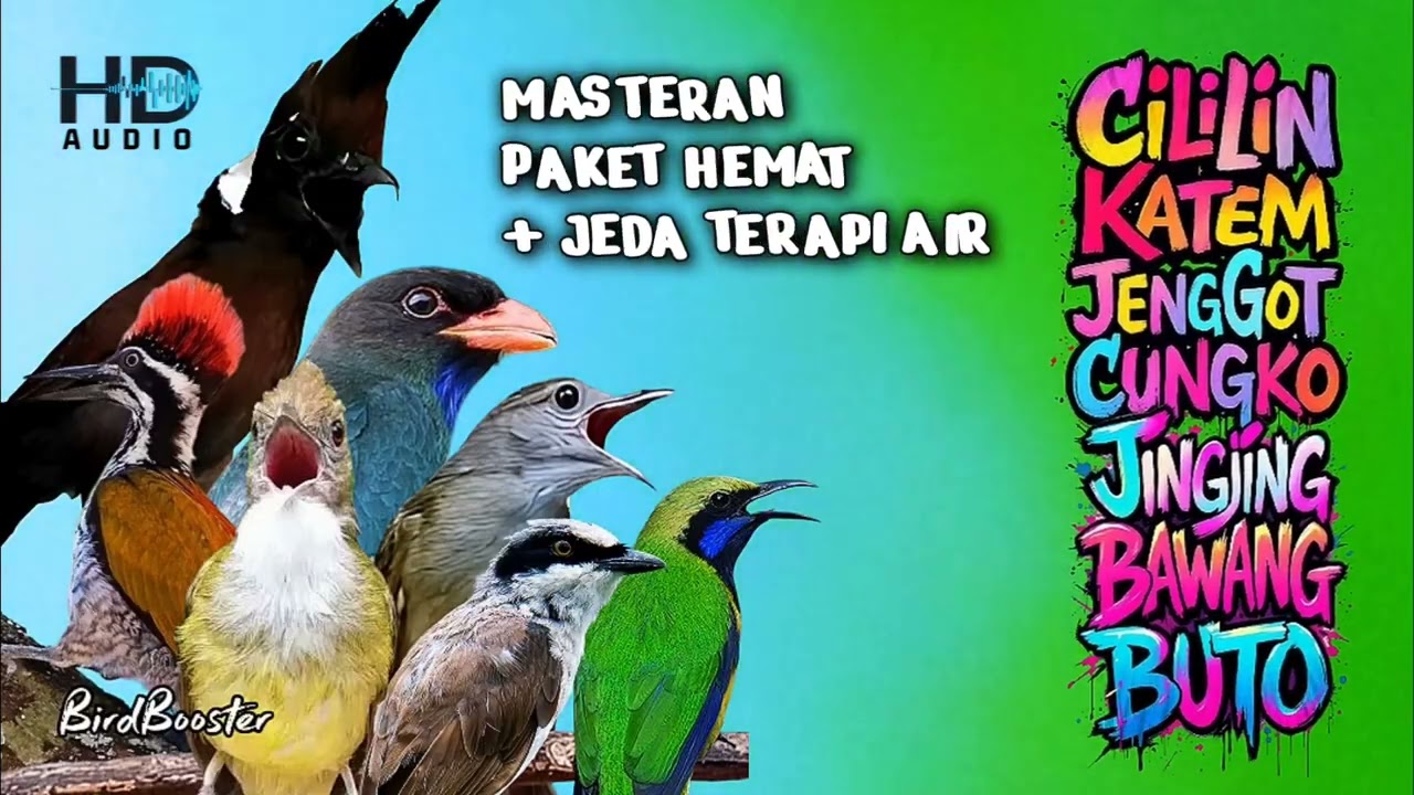 PAKET MASTERAN BURUNG SATU JALUR + JEDA TERAPI AIR | MUDAH DITIRUKAN TROTOLAN