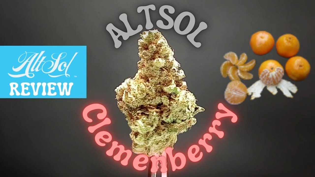 AltSol Clemenberry Flower Review