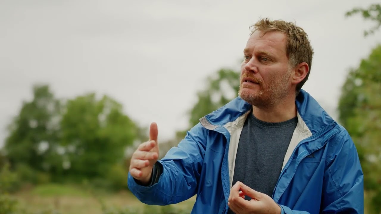 District Level Licensing: Species Distribution Modelling explainer (for great crested newts)