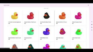 DuckStudio demo: e-commerce, Stripe, Ruby on Rails, React, responsive design