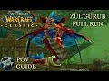 Zul'Gurub Full Run (Disc Priest PoV) | WoW Classic Gameplay/Guide