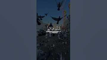 قرآن كريم قرآن كريم بصوت القارئ يحيي عيشان