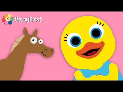 Tillie the Duck Teaches Animals on BabyFirstTV.com