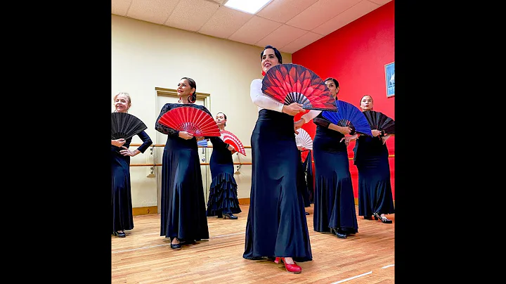 FLAMENCO COURSES IN TAMPA BAY BY IRENE RODRIGUEZ