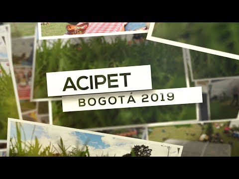Acipet 2019 -