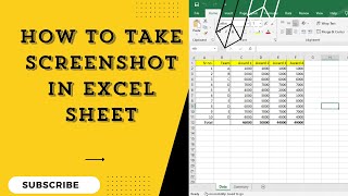 How To Take Screenshot In Excel Sheet