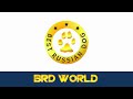 BRD World. Тринадцатый выпуск