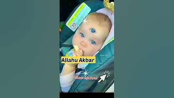 अल्लाह की कुदरत||#openshortsfeeds  #allah #quran #ytshorts #shortvideo #youtubeshorts #shorts