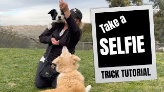 Take a Selfie: Dog Trick Tutorial  DMWYD
