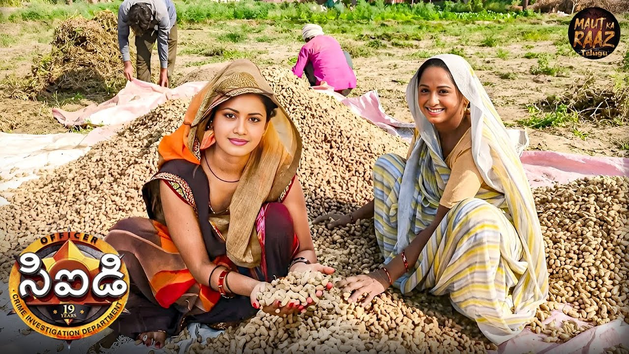 శ్రేయ మరియు పూర్వి గ్రామ మహిళలుగా మారువేషం వేసుకుని కీలకమైన సాక్ష్యాలను కనుగొన్నారా? | CID Telugu |