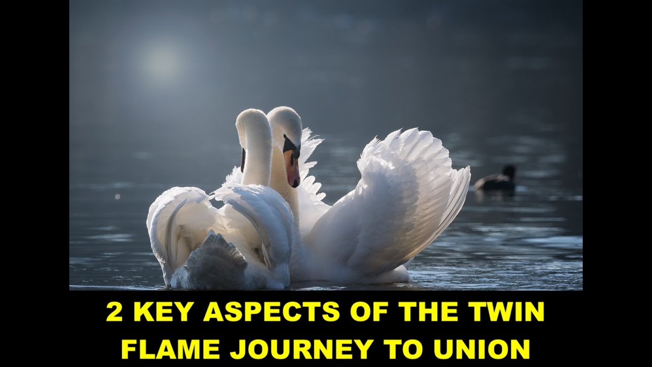 2 Key Aspects of the Twin Flame Journey to Union #knowyourself # ...